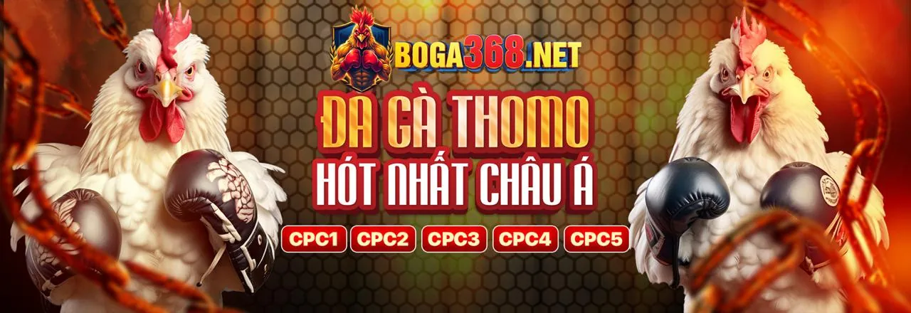 Đá Gà Trực Tuyến cwin333 hiện đang mở